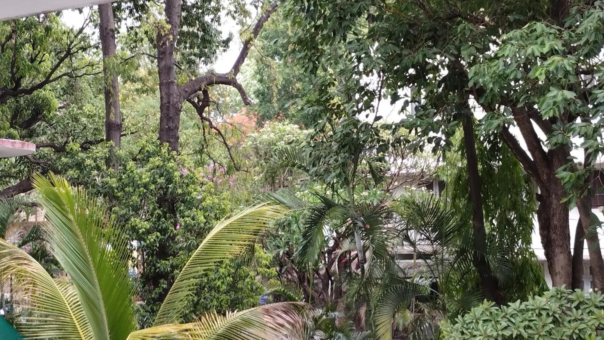 Apartment Madhav Bhavan